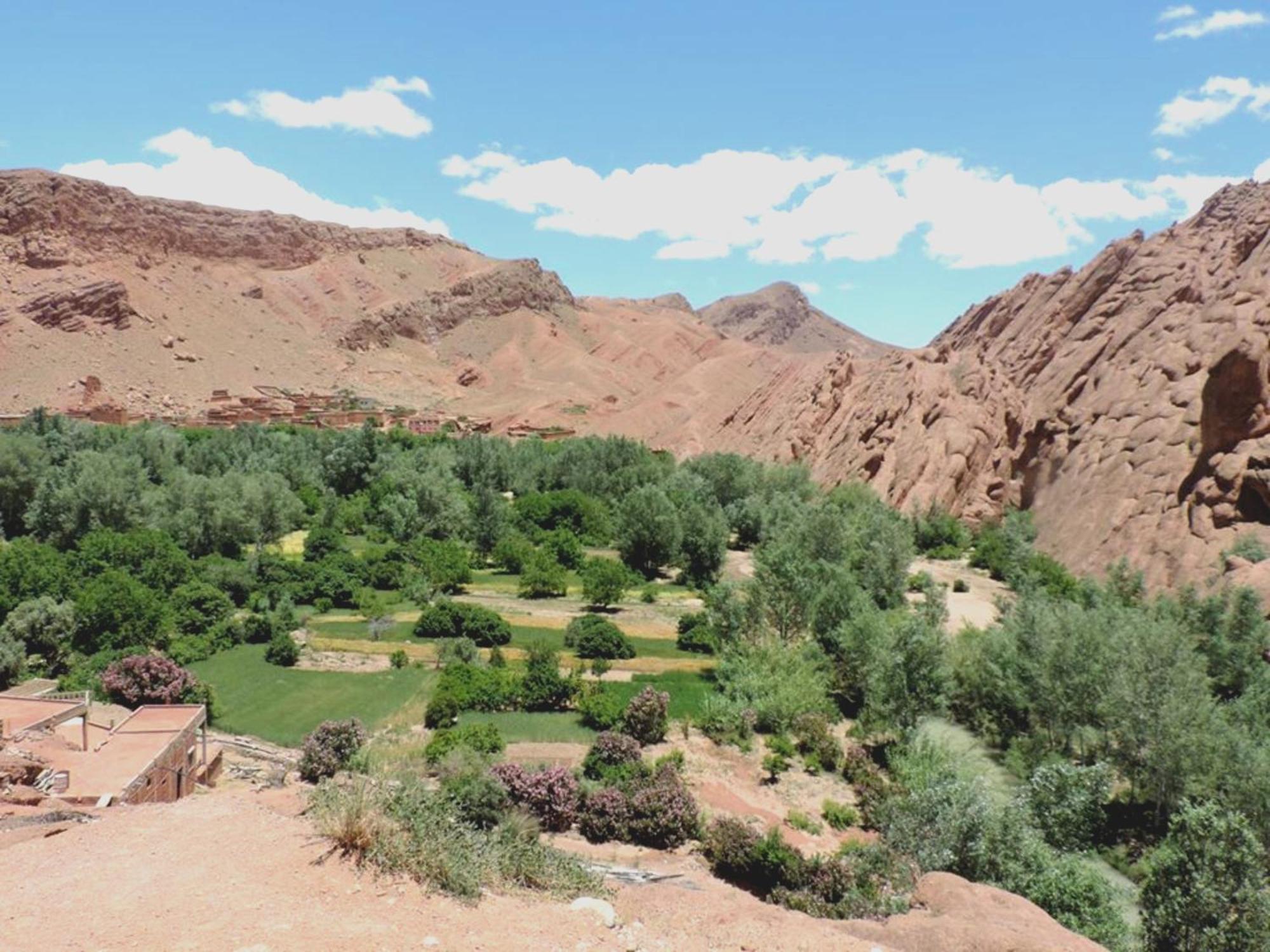 Kasbah Elmehdaoui Bed & Breakfast Скура Екстериор снимка